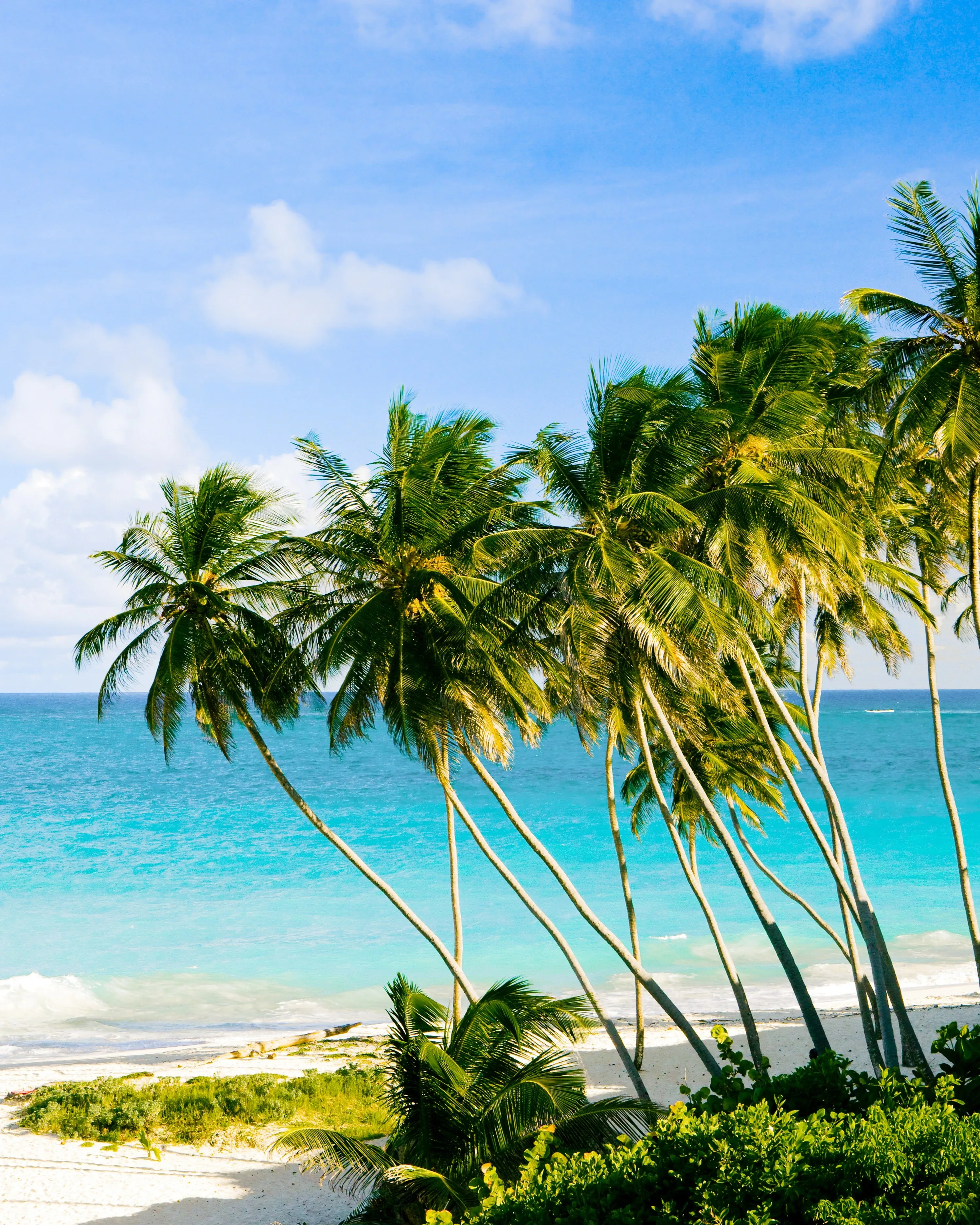 Carribean azure ocean