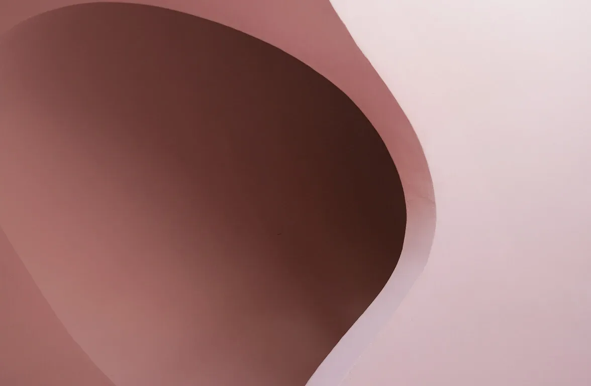 Palais Bulle Cannes curved pink bubble-arch revealing sculptural interior ceiling detail in modern villa